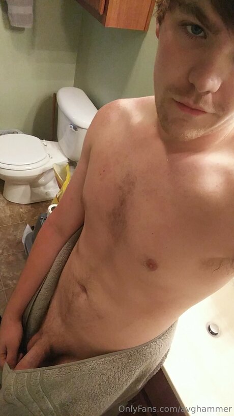 Avghammer kostenlose beste galerien