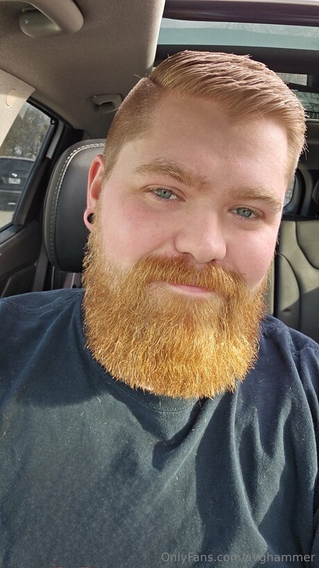 Avghammer erwachsene hübsche archiv