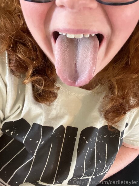 Carlietayler heiße pornostar bilder