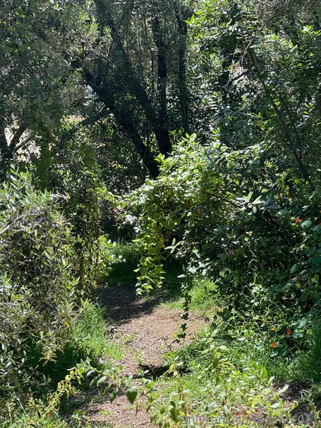 Donte011 nacktheit hübsche galerien