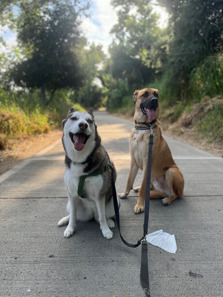 Donte011 perfekte heiße bild