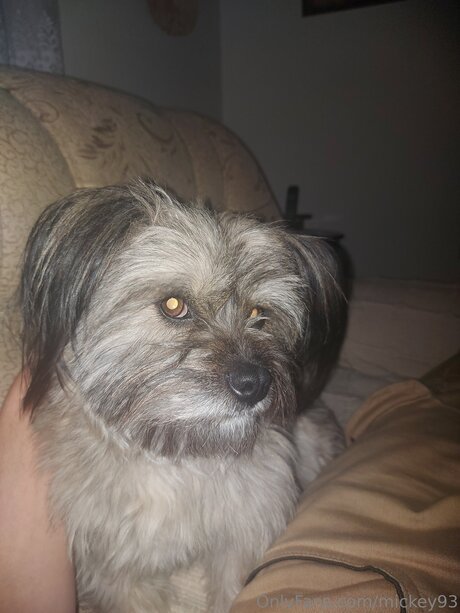 Mickey93 model sex bild