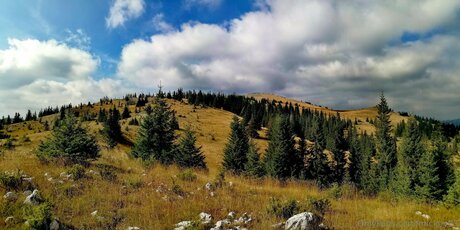 Mickey93 schauspielerin porno bild