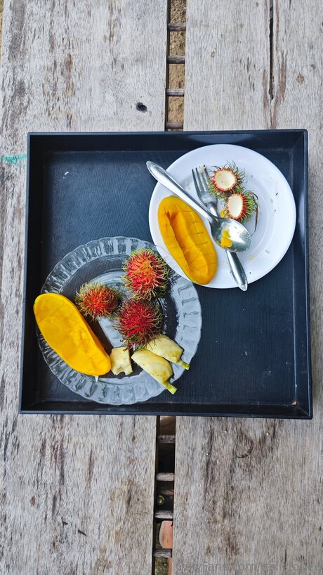 Rexistonee nacktheit fotos