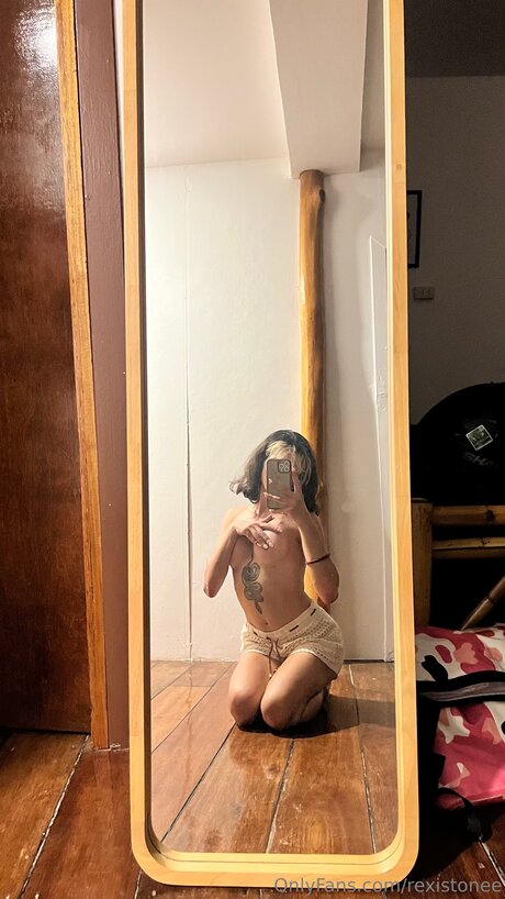 Rexistonee schöne hd galerie