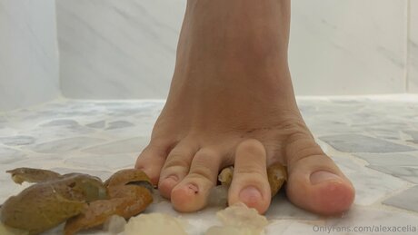 Alexacelia kostenlose sex fotos