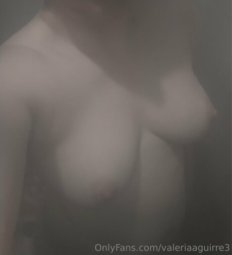 Valeriaaguirre3 perfekte akt bilder