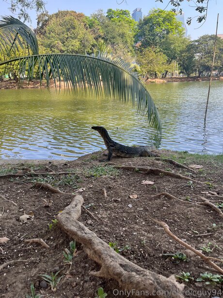 Nordicguy94 pornostar schöne archiv