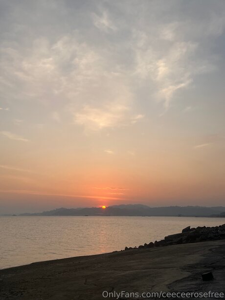 Ceeceerosefree hübsche pornografische galerien