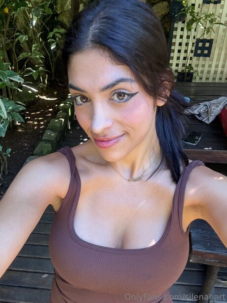 Silenahart top kunst bild