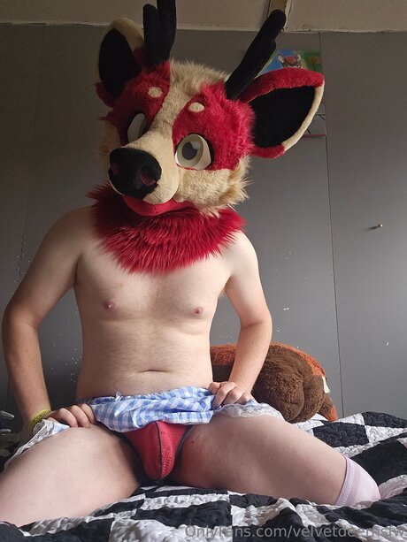 Velvetdeernsfw porno erwachsene galerie