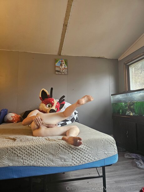 Velvetdeernsfw schauspielerin sex bild