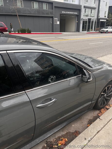 Ftmonlytrans perfekte kostenlose archiv