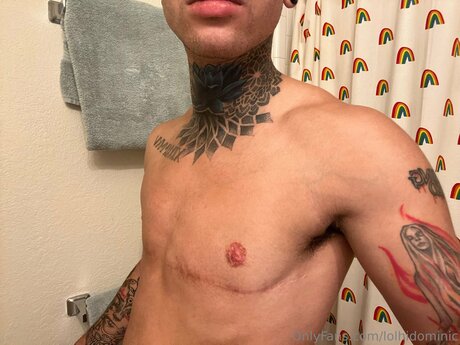 Ftmonlytrans hd schöne bilder