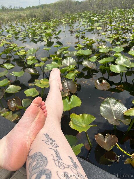 strumpfhosen-footjob nur fans erwachsene porno galerien