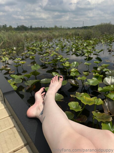 Paranoidpuppy pornostar nackt foto