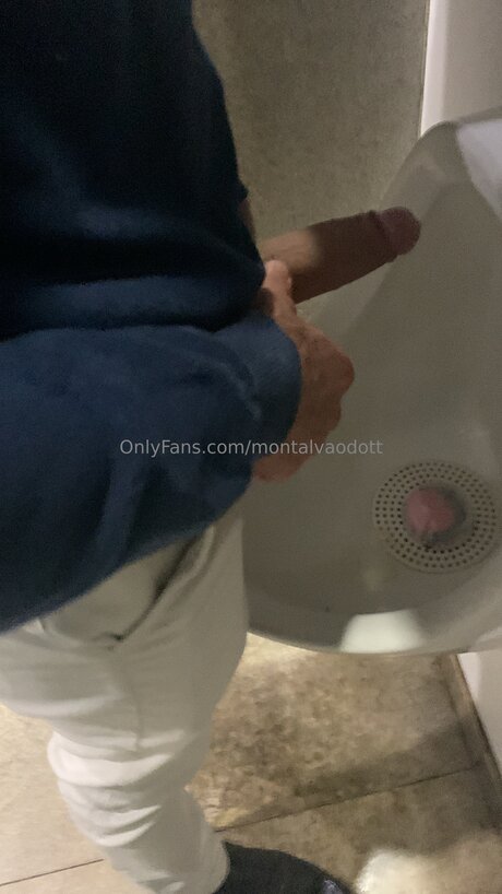 Montalvaodott erwachsene schöne archiv