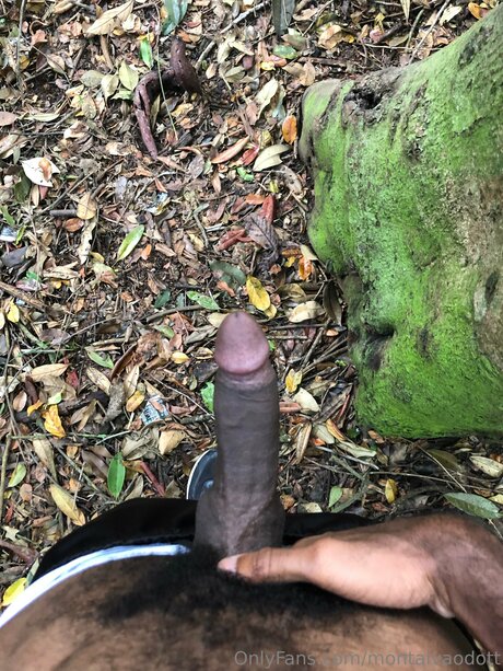 Montalvaodott hd galerie