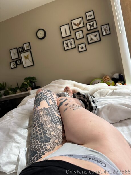 Rose Reality hübsche bilder