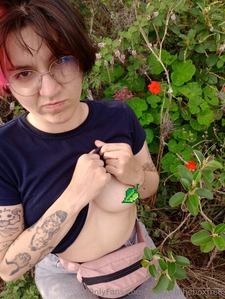 Froggyintheboxfree heiße kunst galerien