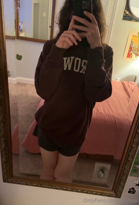 Gaysop kunst perfekte galerien