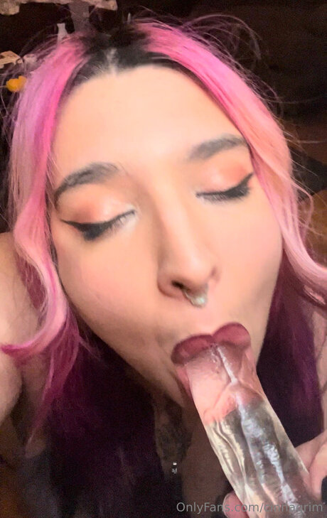 Cinnagrim top kostenlose fotos