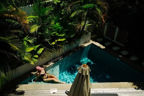 Charlieschest freie schöne archiv