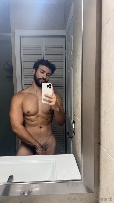 Peter B kostenlose kunst archiv