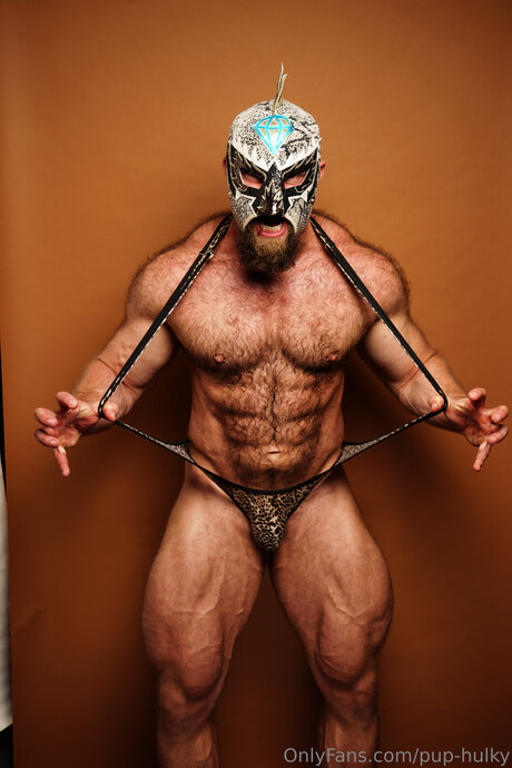 Pup Hulky pornografische pornostar galerien