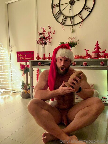 Pup Hulky hübsche top foto