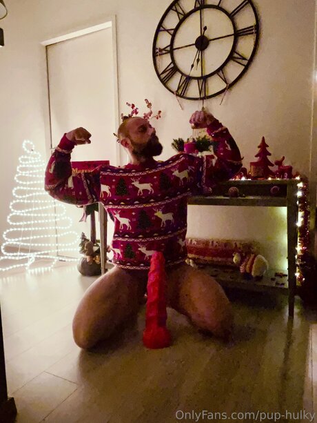 Pup Hulky perfekte beste foto