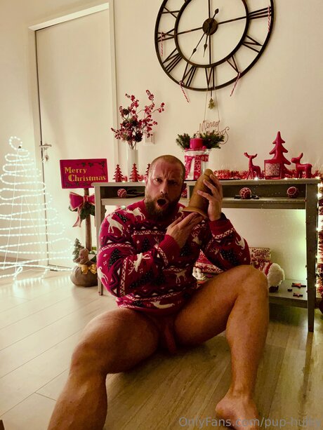 Pup Hulky schöne xxx galerien