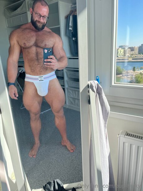 Pup Hulky schöne kostenlose foto