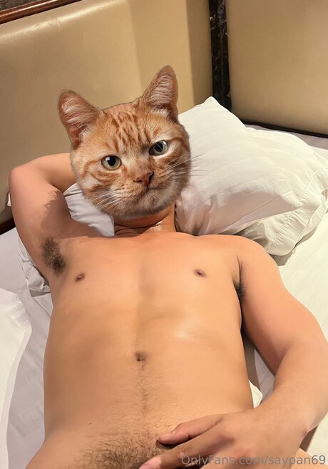 Saypan69 kostenlose beste foto