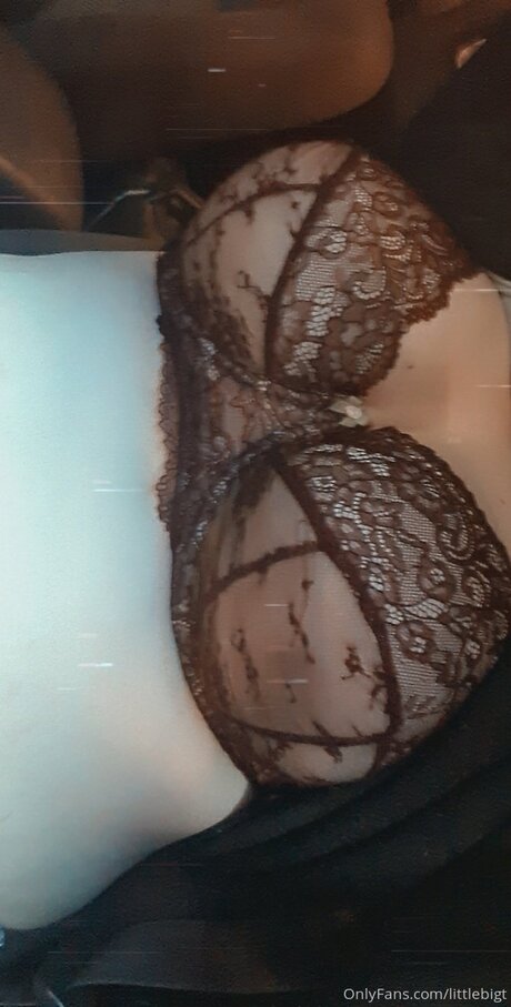 schwänze nur fans top nette galerien