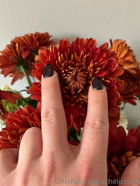 Chelicer69 kostenlose nacktheit bilder