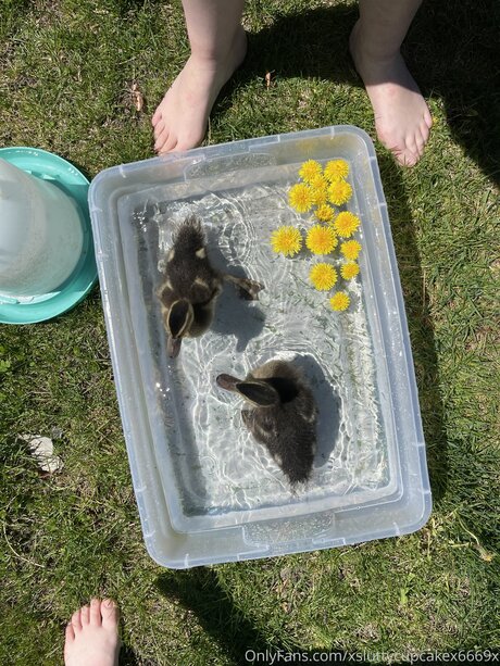 Xsluttycupcakex6669x exklusive erotische fotos