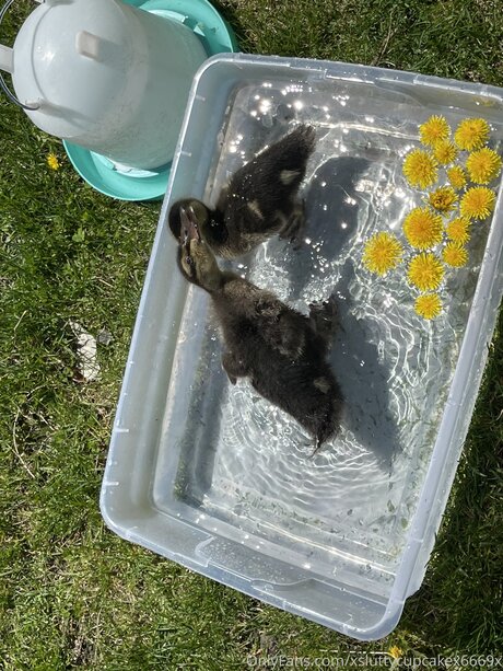 Xsluttycupcakex6669x nacktheit porno galerien