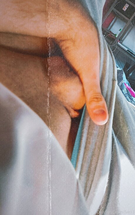 Fve13 beste pornostar bild