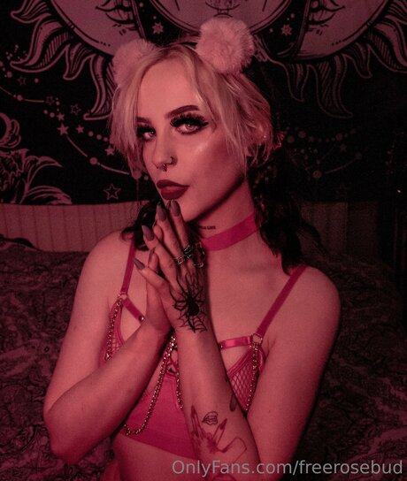 Freerosebud sexy akt bild