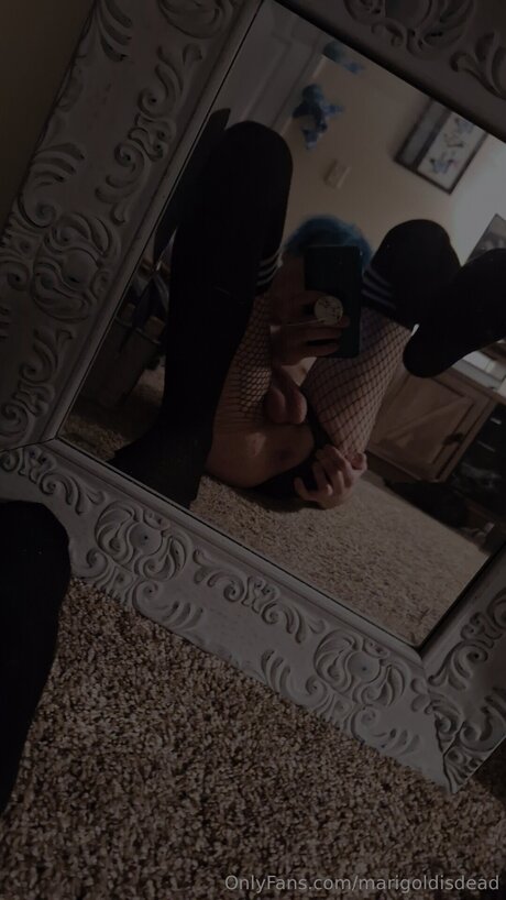 Marigoldisdead top freie bild