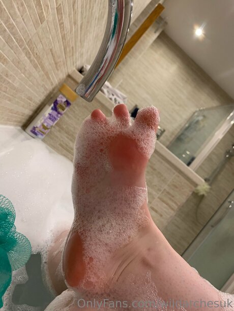 Wildarchesuk hübsche galerien