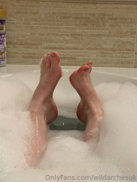 Wildarchesuk schöne hübsche bild