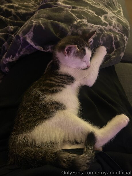 Emyangofficial schöne xxx archiv