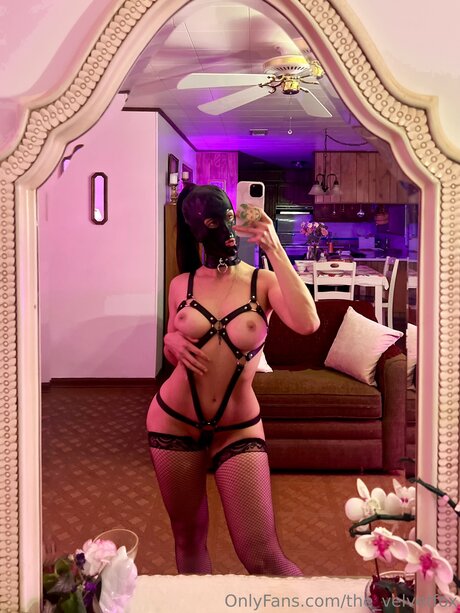 The Velvetfox model kostenlose bilder