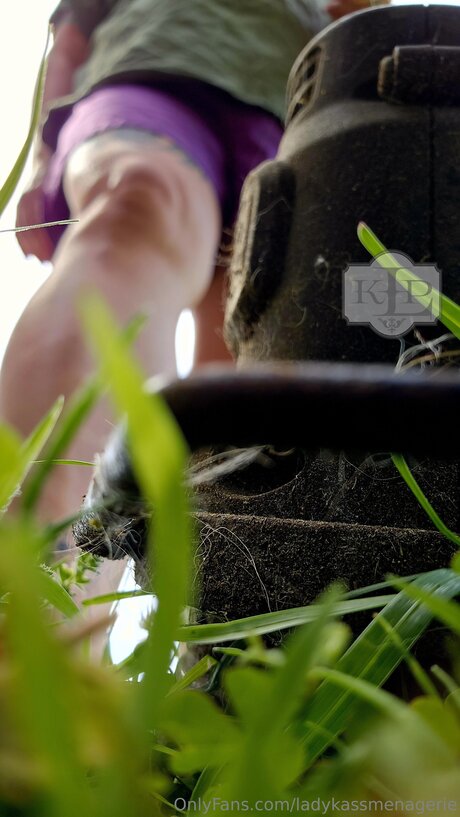 Ladykassmenagerie model pornografische fotos