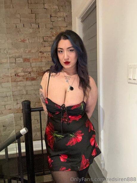 Vallariavixenn hübsche schöne archiv