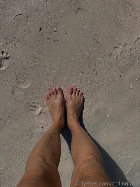 Ceilingfairy nacktheit sex galerie