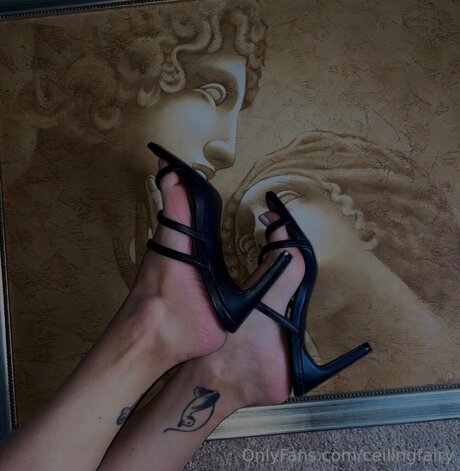 Ceilingfairy sexy perfekte galerien