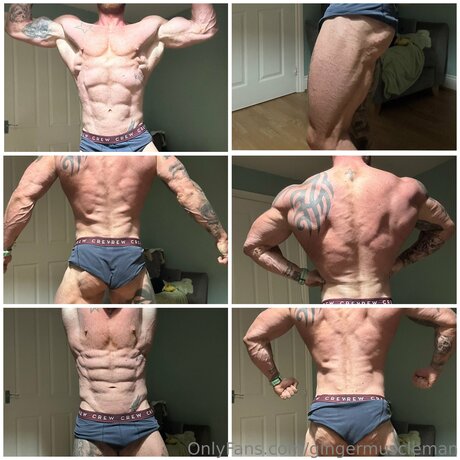 Gingermuscleman model nette archiv